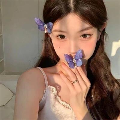 神捕铁飞花之千里缉凶